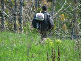 asanacne pasmo Košioce Zapad