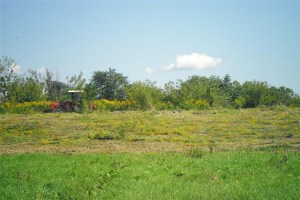 Asanaèné pásmo Koice Západ